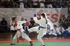 35ª Copa Brasil de Karate-do Goju-ryu IKGA Brasil