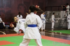 35ª Copa Brasil de Karate-do Goju-ryu IKGA Brasil