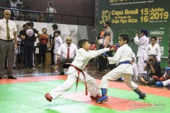 35ª Copa Brasil de Karate-do Goju-ryu IKGA Brasil