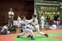 35ª Copa Brasil de Karate-do Goju-ryu IKGA Brasil