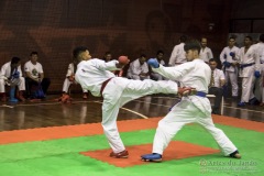 35ª Copa Brasil de Karate-do Goju-ryu IKGA Brasil