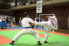 35ª Copa Brasil de Karate-do Goju-ryu IKGA Brasil