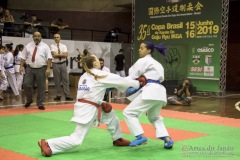 35ª Copa Brasil de Karate-do Goju-ryu IKGA Brasil
