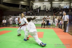 35ª Copa Brasil de Karate-do Goju-ryu IKGA Brasil