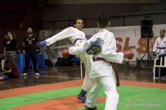 35ª Copa Brasil de Karate-do Goju-ryu IKGA Brasil