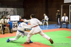 35ª Copa Brasil de Karate-do Goju-ryu IKGA Brasil