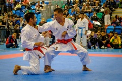 7th Karate-Do Goju-Kai Global Championships