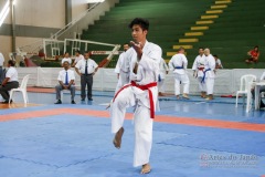 III Copa de Karate-do Goju-ryu Sensei Jose Andre Ferreira