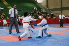 III Copa de Karate-do Goju-ryu Sensei Jose Andre Ferreira