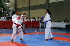 III Copa de Karate-do Goju-ryu Sensei Jose Andre Ferreira