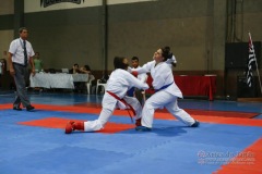 III Copa de Karate-do Goju-ryu Sensei Jose Andre Ferreira