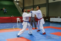 III Copa de Karate-do Goju-ryu Sensei Jose Andre Ferreira