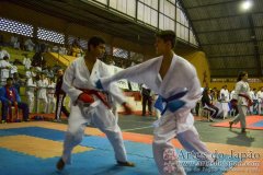 AdJ_Campeonato_Paranaense_IKGABrasil_187