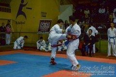 AdJ_Campeonato_Paranaense_IKGABrasil_198
