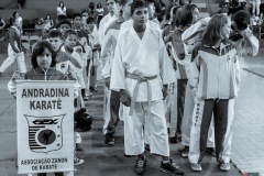 AdJ_Campeonato-Regional-Karate-Ribeirao-Bonito_012