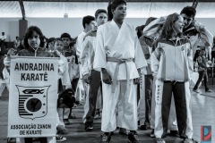 AdJ_Campeonato-Regional-Karate-Ribeirao-Bonito_013