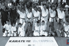 AdJ_Campeonato-Regional-Karate-Ribeirao-Bonito_041