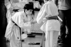 AdJ_Campeonato-Regional-Karate-Ribeirao-Bonito_054