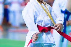 AdJ_Campeonato-Regional-Karate-Ribeirao-Bonito_066