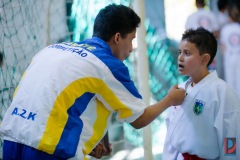 AdJ_Campeonato-Regional-Karate-Ribeirao-Bonito_079