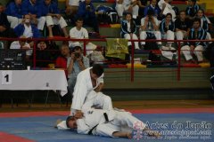 SulAmericano_KarateDo_Gojukai_2012_11