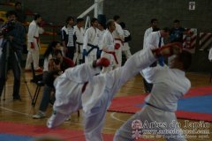 SulAmericano_KarateDo_Gojukai_2012_26