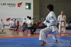 SulAmericano_KarateDo_Gojukai_2012_35