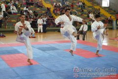 SulAmericano_KarateDo_Gojukai_2012_45