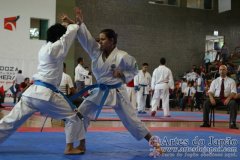 SulAmericano_KarateDo_Gojukai_2012_49