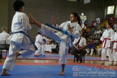 SulAmericano_KarateDo_Gojukai_2012_51