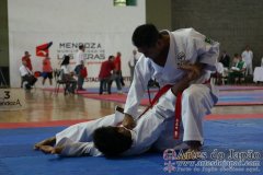 SulAmericano_KarateDo_Gojukai_2012_56