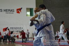 SulAmericano_KarateDo_Gojukai_2012_57