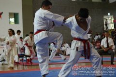 SulAmericano_KarateDo_Gojukai_2012_58