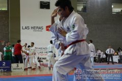SulAmericano_KarateDo_Gojukai_2012_59