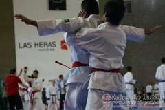 SulAmericano_KarateDo_Gojukai_2012_61