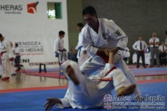 SulAmericano_KarateDo_Gojukai_2012_62