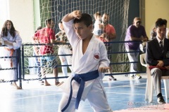 V Copa Sensei José André Ferreira