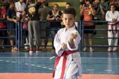 V Copa Sensei José André Ferreira