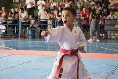 V Copa Sensei José André Ferreira