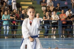 V Copa Sensei José André Ferreira