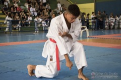 V Copa Sensei José André Ferreira