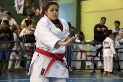 V Copa Sensei José André Ferreira