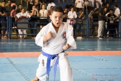 V Copa Sensei José André Ferreira