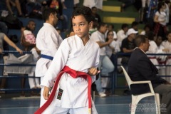 V Copa Sensei José André Ferreira