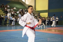 V Copa Sensei José André Ferreira