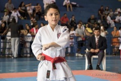 V Copa Sensei José André Ferreira