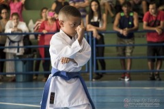 V Copa Sensei José André Ferreira