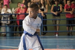 V Copa Sensei José André Ferreira