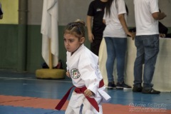 V Copa Sensei José André Ferreira