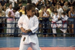 V Copa Sensei José André Ferreira